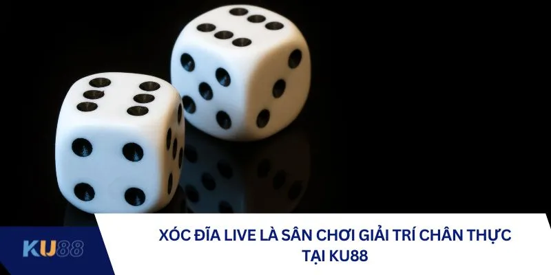 Xóc đĩa live là sân chơi giải trí chân thực tại KU88
